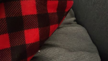 Adana Otele Gelen Escortlar